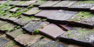 Lyneal roof repair costs